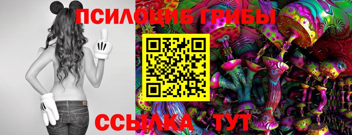 Вязники  Галлюциногенные грибы прущие грибы  продажа наркотиков  Вход с VPN  Галлюциногенные грибы GOLDEN TEACHER 